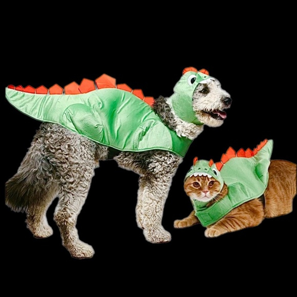 PET DINOSAUR COSTUME NWT